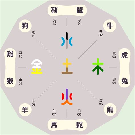 子五行属什么|子字五行属什么